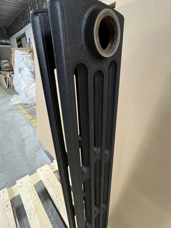 Litinový radiátor Biaxo 4/900 článek 60 x 900/960 x 144mm, na zem/na zeď, černá struktura
